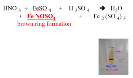 <p><span style="line-height: 0px;">NON-METALLIC IONS​: <strong>NO<sub>3</sub><sup>–1</sup> (nitrate)</strong></span></p>