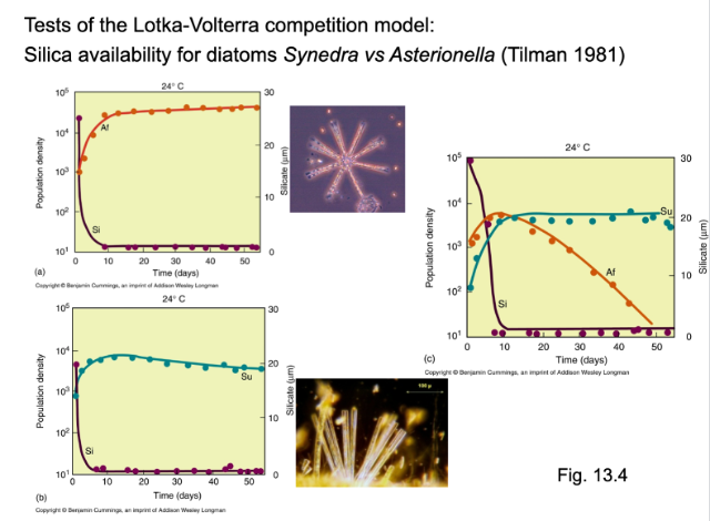 <p>Which graph shows interspecific competition</p>