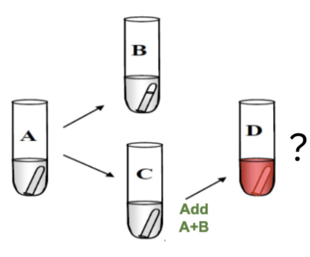 <p>After adding Solution A + B for Nitrate Reduction, you see a color change to red, what does this mean?</p>