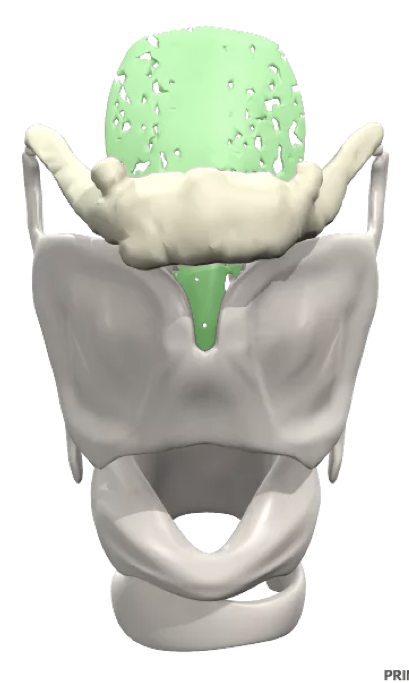 <p>what is this?</p>