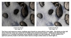<p>A teacher explains that cameras often underexpose snowy scenes because the camera meter attempts to:</p>
