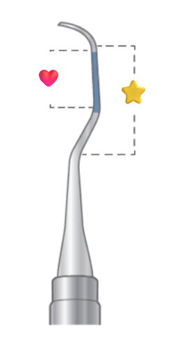 <p>What is the star portion</p>