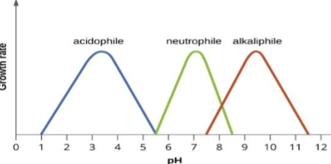 <p>measure of H+ ion concentration</p><ul><li><p>Microbes have an optimum, minimum and max</p></li><li><p>Highly acidic or alkaline environments inhibit bacterial growth</p></li></ul><p></p><p>types of bacteria:</p><ul><li><p>Neutrophiles: pH range is<strong> 5–8</strong></p></li><li><p>Acidophiles: Optimal pH is <strong>below 5.5</strong></p></li><li><p>Alkaliphiles: Optimal pH above <strong>8.5</strong></p></li></ul><p></p>