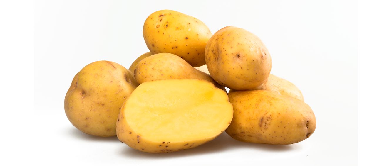 <p>4ib Bag of Yukon Gold Potatoes</p>