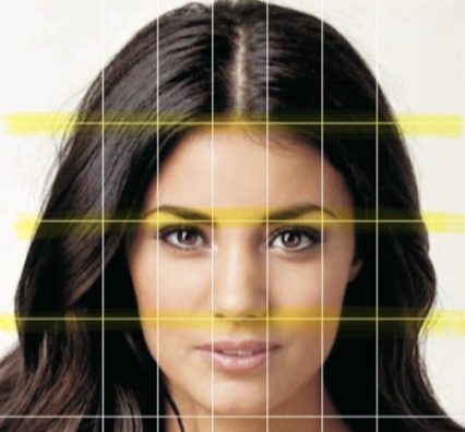 <p>Into equal thirds</p><p>From forehead to brow line</p><p>Brow line to base of nose</p><p>Base of nose to base of chin </p>