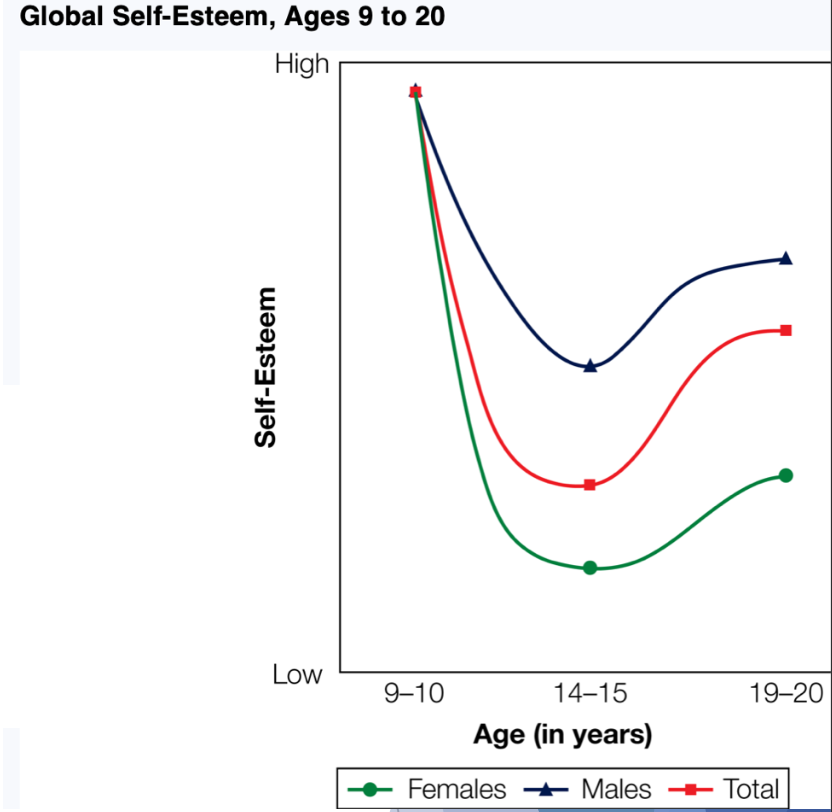 <p><strong><u>Self-Esteem from Preadolescence Through Adolescence</u></strong></p><p class="p2"> The __ can make adolescents self-conscious in a way that decreases their self-esteem when they first experience it in early adolescence.</p><p class="p2"><span data-name="arrow_right_hook" data-type="emoji">↪</span> As adolescents develop the capacity to imagine that others are especially conscious of how they look and what they say and how they act, they may suspect or fear that others are __ them harshly.</p><p class="p2"> Adolescents in <u>Eastern/Western</u> cultures tend to be strongly peer-oriented and to value the opinion of their peers highly, especially on day-to-day issues such as how they are dressed and what they say in social situations.</p><p class="p2"><span data-name="arrow_right_hook" data-type="emoji">↪</span> Their peers have developed new cognitive capacities for sarcasm and ridicule, which tend to be dispensed freely toward any peer who seems odd or awkward or uncool.</p><p class="p2"> The combination of greater peer-orientation, greater self-consciousness, and peers’ potentially harsh evaluations contributes to declines in __ in early adolescence.</p>