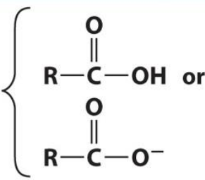 <p>Carboxylic Acid/ Carboxylate </p>