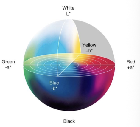 <p>Uses L* (lightness), a* (red-green), b* (yellow-blue)</p><p>Hunter lab values</p>