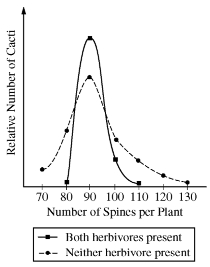 <p>In a species of cactus, the number of spines on a plant is genetically determined. The graph above shows frequency distributions for populations of the cactus species growing in the presence or absence of two herbivores: peccaries (a New World pig) and wasp larvae. Which of the following best accounts for the different frequency distributions in the graph?</p>