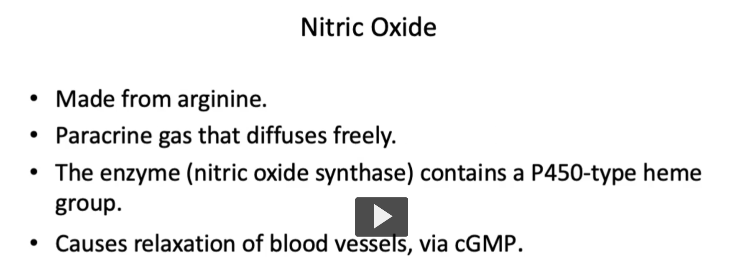 <p><u>Nitric Oxide</u></p><ul><li><p><strong>Nitric Oxide</strong> is a<strong> unique neurotransmitter</strong> made from<strong> arginine</strong> by the enzyme <strong>nitric oxide synthase.</strong></p></li><li><p><strong>Unlike other neurotransmitters</strong>,<strong> nitric oxide</strong> is a <strong>gas</strong>, a <strong>paracrine gas</strong> that <strong>diffuses freely</strong>.</p></li><li><p>The enzyme (<strong>nitric oxide synthase</strong>) contains a<strong> P450-type heme group.</strong></p></li><li><p><strong>Nitric oxide activates guanylate cyclase</strong> → <strong>increasing cGMP </strong>→ activation of <strong>Protein Kinase G</strong>, and <strong>causing smooth muscle relaxation</strong>,<strong> especially in blood vessels</strong>.</p></li><li><p>Causes relaxation of blood vessels, via cGMP.</p></li></ul><p></p>