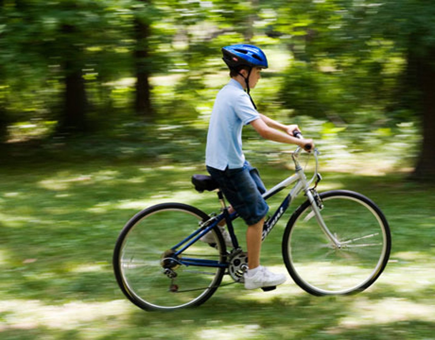 <p>I rode a bike in the park</p>