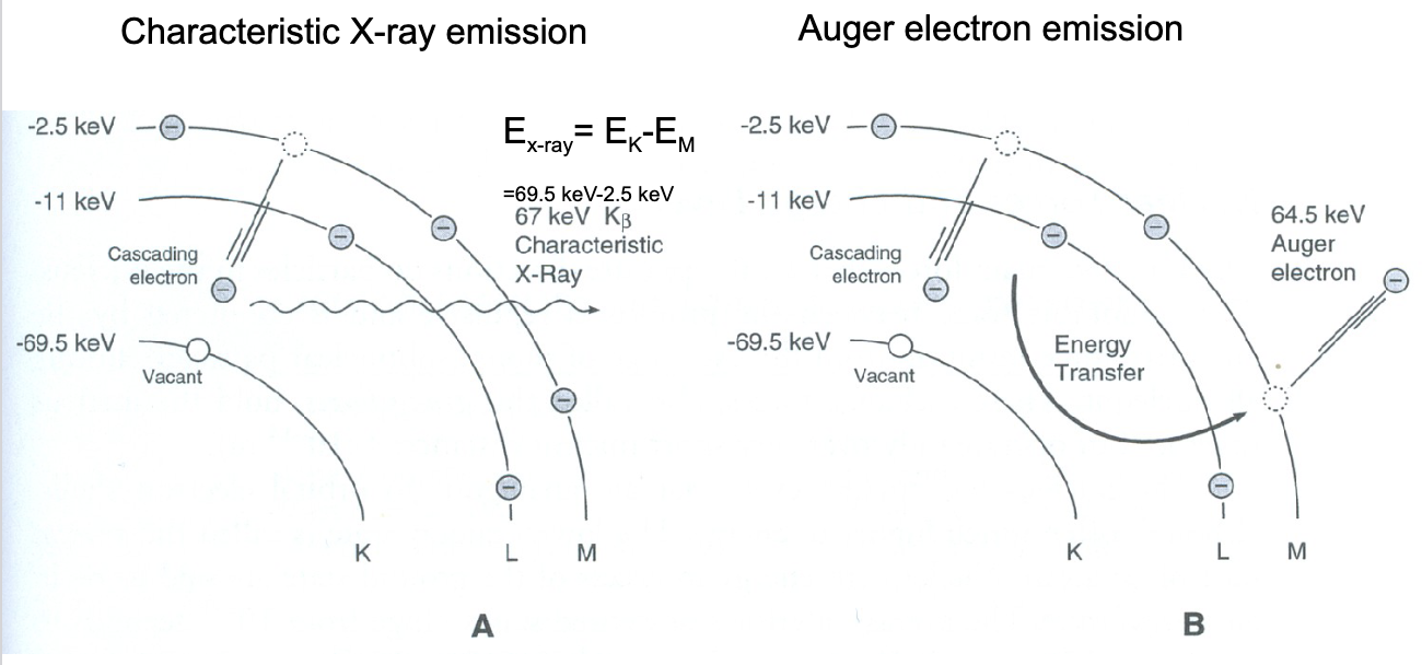 <p>-energy released as characteristic x-rays or auger electrons</p><p>-electron cascade-series of electronic transition from outer to inner orbitals</p>