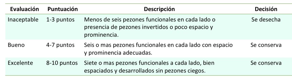 <p><span><span>Posterior a la evaluación y clasificación de la línea mamaria, se debe decidir qué hacer con la hembra: conservarla o desecharla.</span></span></p>