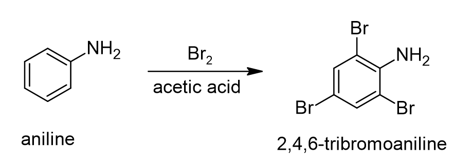 <p>Note that in this reaction, we only formed the <u>mono-brominated</u> acetanilide product(s). However, the bromination of aniline under these same reaction conditions leads to the formation of 2,4,6-tribromoaniline (see below).</p><p>can you propose a reason for this difference in reactivity?</p>