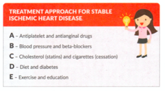 <p>ABCDE</p><p>A - antiplatelet + antianginal</p><p>B - BP and beta blockers</p><p>C - cholesterol (statins) and cigarettes (cessation)</p><p>D - diet and DM</p><p>E - exercise and education</p>