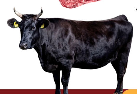 <ul><li><p>Japan</p></li><li><p>Wagyu beef</p></li><li><p>Superior marbling and tenderness</p></li><li><p>29-32 months of age is harvested</p></li><li><p>700-800 kg and a carcass weight of 430-470kg</p></li></ul><p></p>