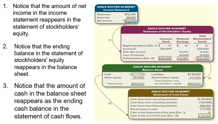 <p>•net income, S.E., cash</p>
