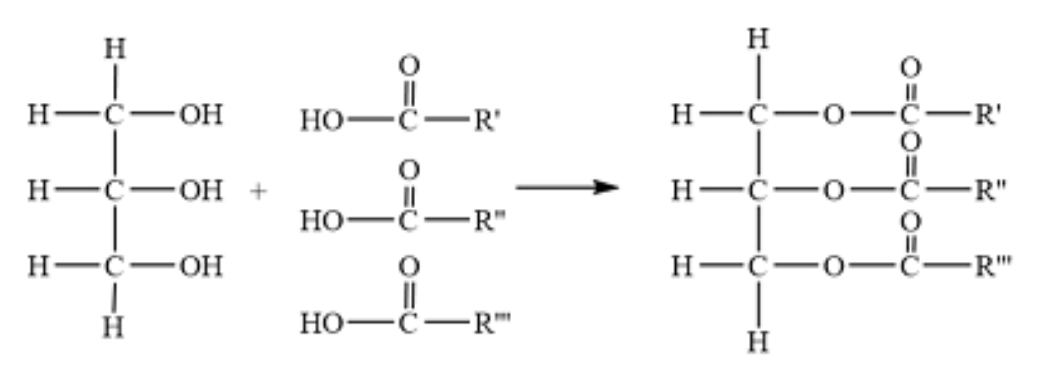 <p>What are the two molecules being added to form the product (name this too)? Bond being formed?</p>