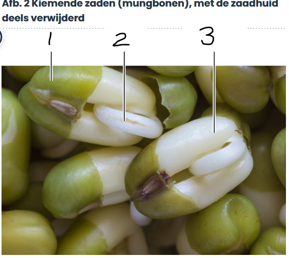 <p>3</p>