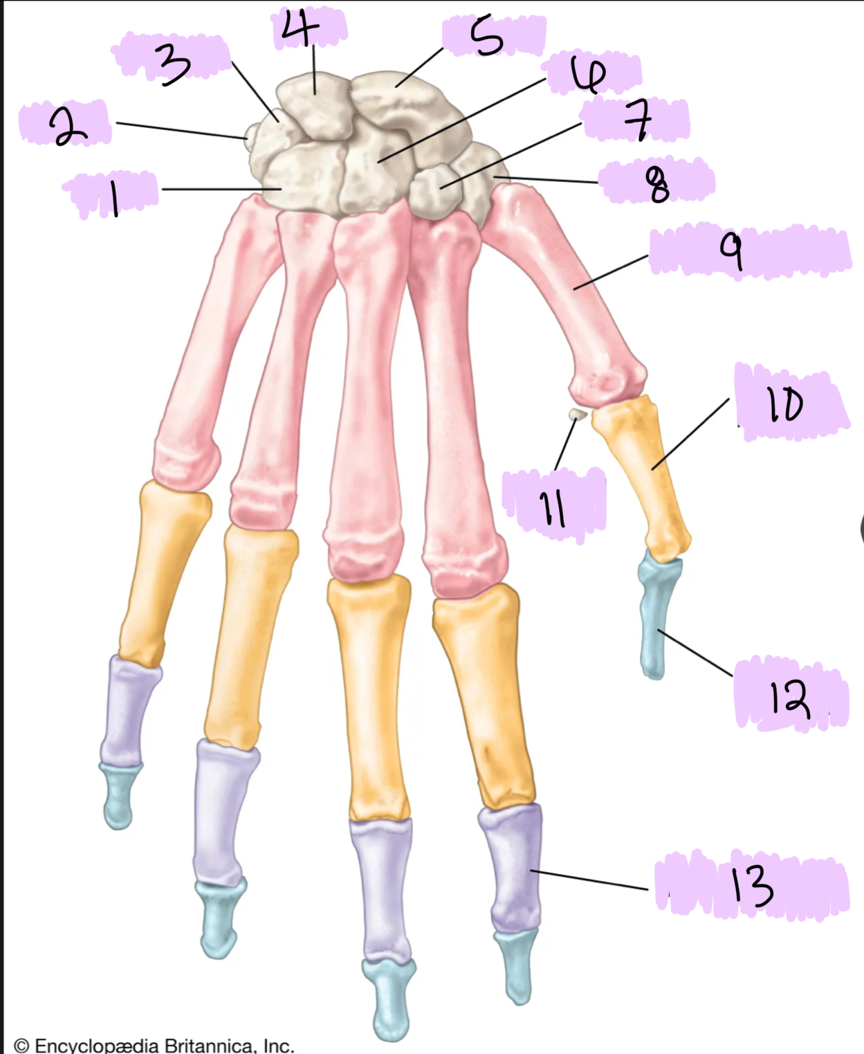 <p>What is 7?</p>
