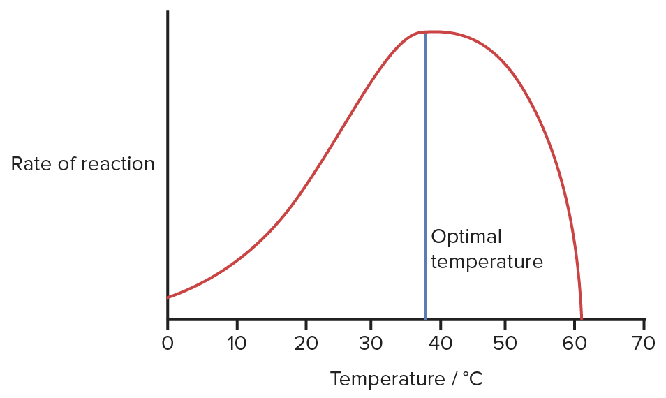 <p>At colder temperatures, enzymes are less active due to the lack of energy and collisions. They work best at an optimal temperature, and then denature after that</p>
