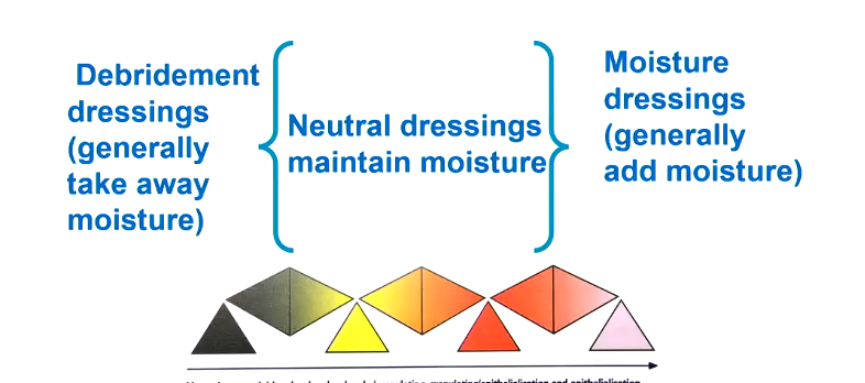 <ul><li><p><strong><u>Debridement </u></strong>dressings too take away moisture</p></li><li><p><strong><u>Neutral dressings</u></strong> - maintain moistire </p></li><li><p><strong><u>Moisture dressings </u></strong>- ADD moistire</p></li></ul><p></p>
