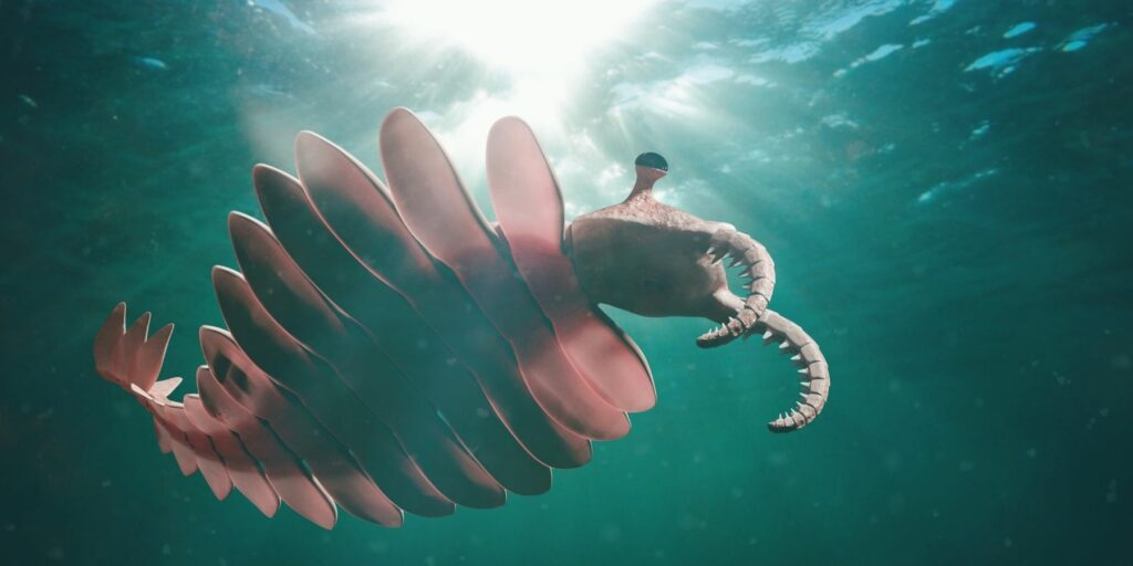 <p>bilateria synapomorphyies</p>