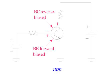 <p>the collector is more positive than the base, which is more positive than the emitter</p>