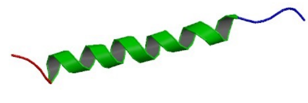 <p>What is this structure?</p>