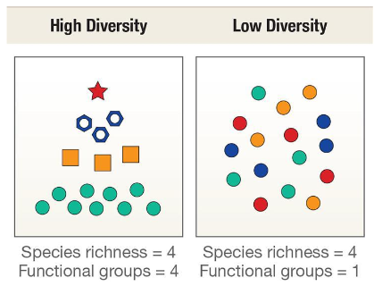 <p>Ecological distinctiveness. Count and categorize functional traits of species.</p>
