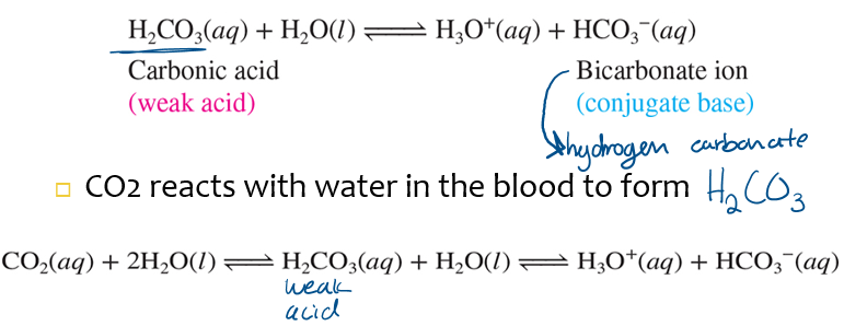 <p>carbonic acid-bicarbonate </p>