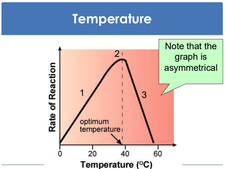<p>temperature graph explanation</p>