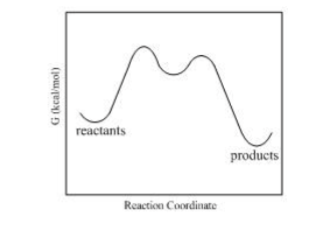 <p>The adjacent figure represents which of the following?</p>