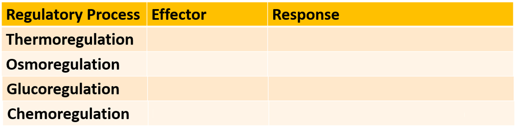 <p>What is the effector and response of these regulatory processes?</p><p>(Thermo is for when it’s cold)</p><p>(Glucose is high)</p>