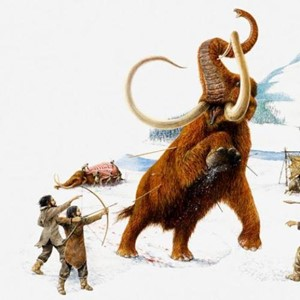 <p>hunt </p><p>To hunt is to look for or search for an animal to kill.</p>