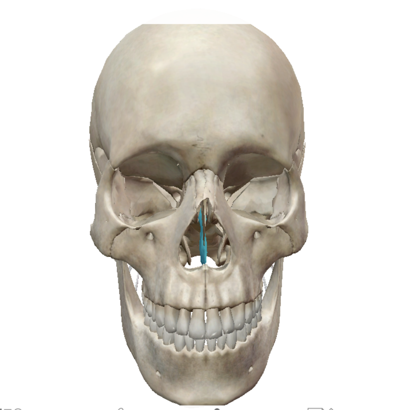 knowt flashcard image