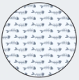 <p>Surf Collection</p>