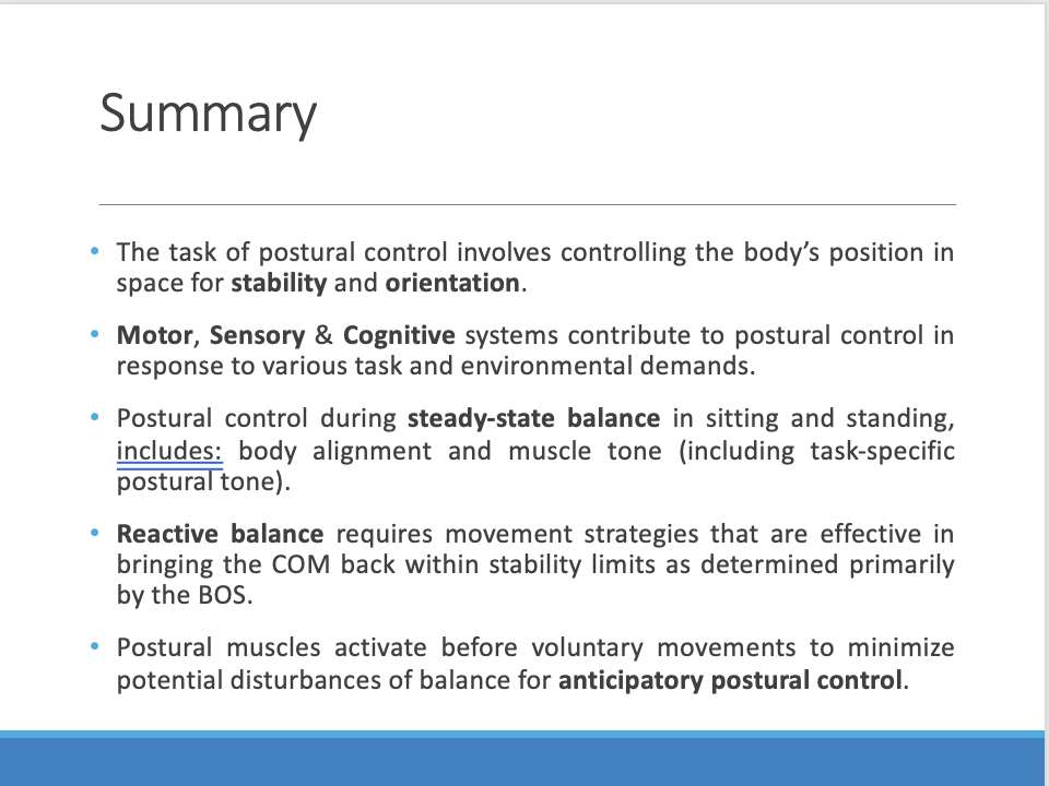 <p>body alignment and muscle tone (including task-specific postural tone).</p>