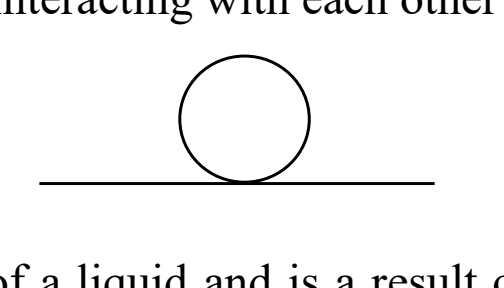 <p>forces between LIKE molecules that cause them to attract each other. </p>