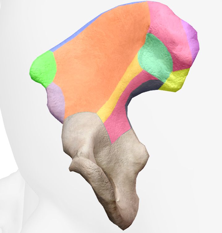 <p>grey</p>