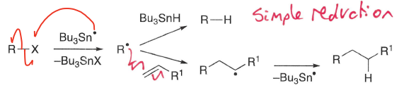 <p>The radical can either undergo addition or simple reduction.</p>