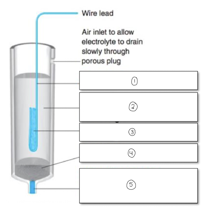 <p>label the components of the silver/silver chloride reference electrode</p>