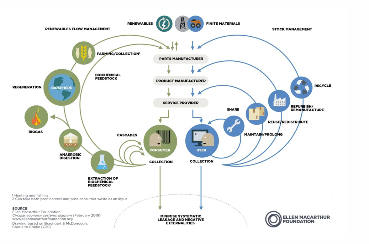 <p>Circular Economy</p><p>The circular economy aims to keep materials, products, and resources in use for as long as possible through continuous loops rather than a linear “take–make–waste” system.</p><p> Key loops in the circular economy</p><p>Technical materials:</p><ul><li><p>Share</p></li><li><p>Maintain/repair</p></li><li><p>Reuse/redistribute</p></li><li><p>Refurbish/remanufacture</p></li><li><p>Recycle</p></li></ul><p>Biological materials:</p><ul><li><p>Return safely to the biosphere</p></li><li><p>Regeneration through biological cycles (e.g. composting, biogas, anaerobic digestion)</p></li></ul><p> Core idea of the loops</p><p>The loops create iterative processes where products and materials repeatedly cycle through the system instead of becoming waste.</p><p>Inner loops (repair/reuse) are usually more sustainable because they preserve more product value and require less energy than recycling.</p><p> Goals</p><ul><li><p>Minimise waste and pollution</p></li><li><p>Reduce raw material extraction</p></li><li><p>Extend product/material life</p></li><li><p>Reduce environmental externalities</p></li><li><p>Regenerate natural systems where possible</p></li></ul><p><span data-name="point_right" data-type="emoji">👉</span> <strong>Key idea:</strong><br>A circular economy replaces linear consumption with continuous material and product loops, treating waste as a design flaw rather than an inevitable outcome.</p>