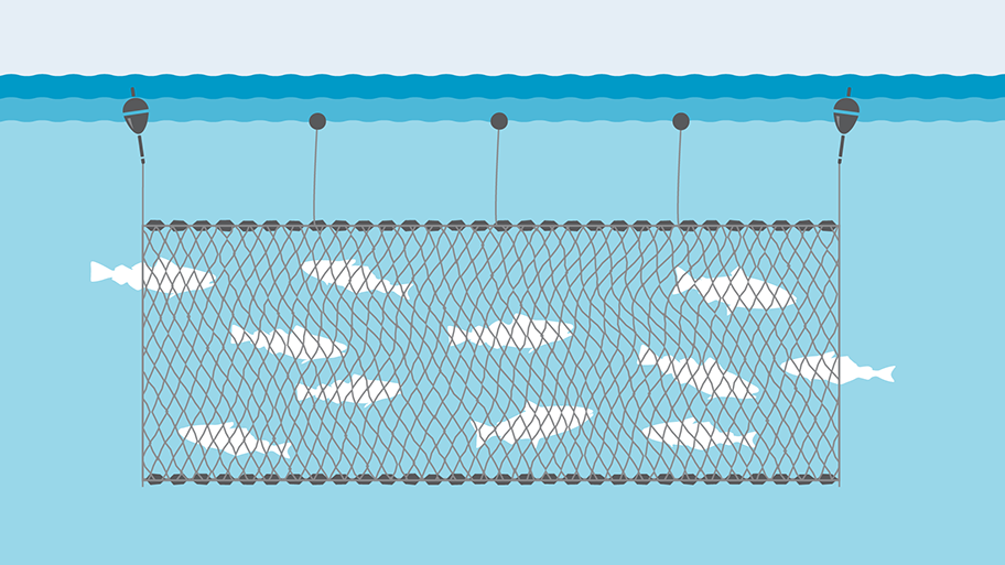 <p>Passive sampling</p>