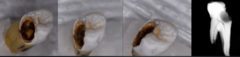 <p>What is the classification?</p>