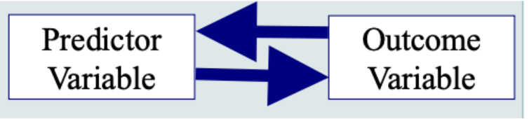 <p><span style="background-color: transparent;">Two variables cause each other, “spiral effect”/ cyclical. Ex: marriage and happiness</span></p>