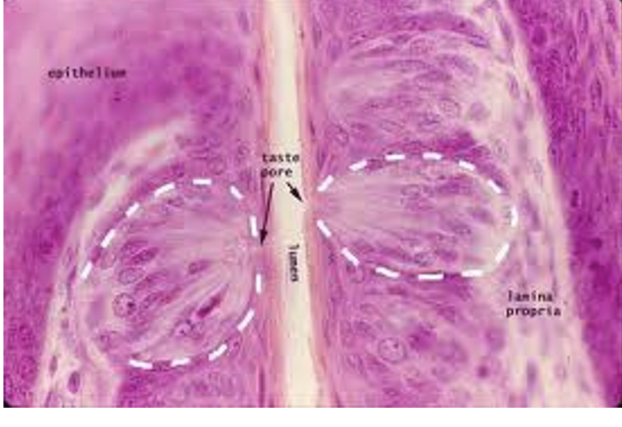 <p>what is this </p>