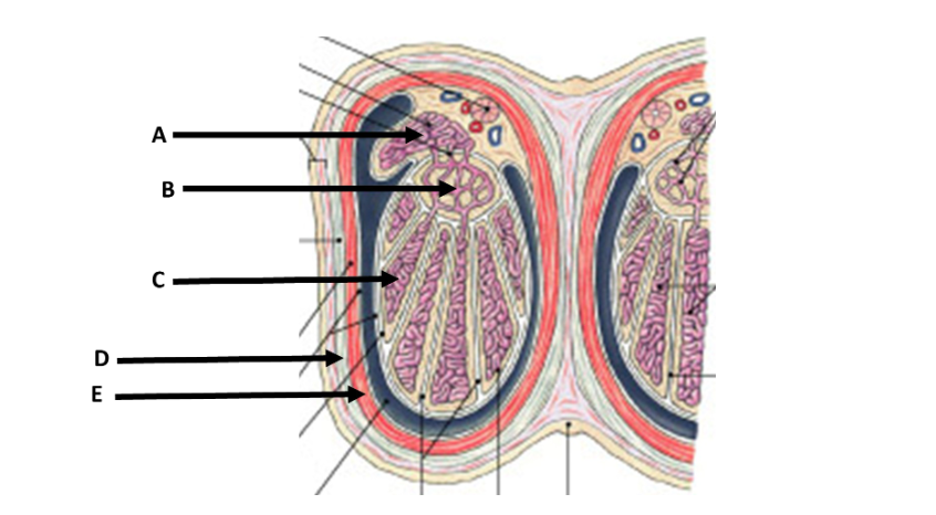 <p>A?</p>