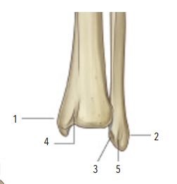 <p>3?4?</p>