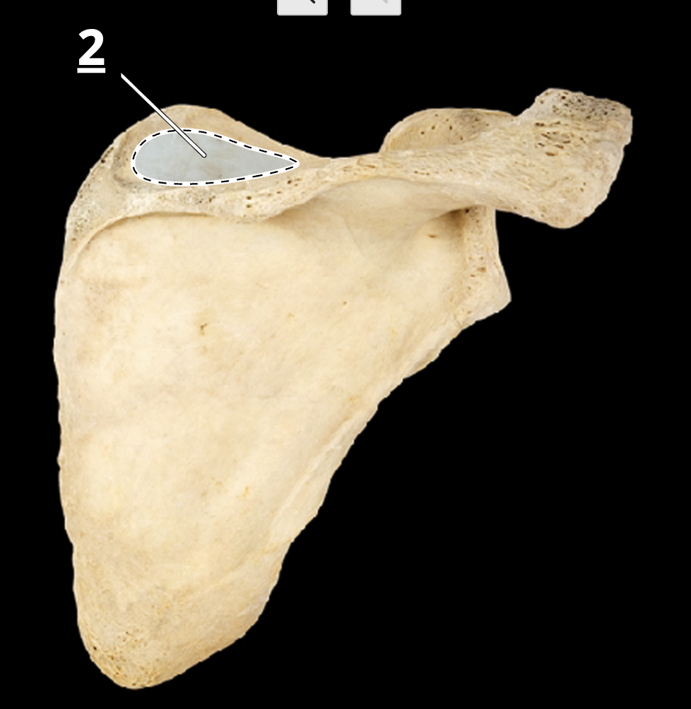 <p>2</p>